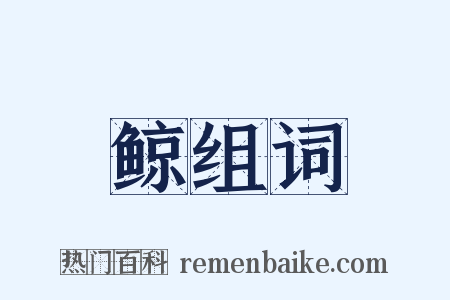 鲸组词是什么意思的图片